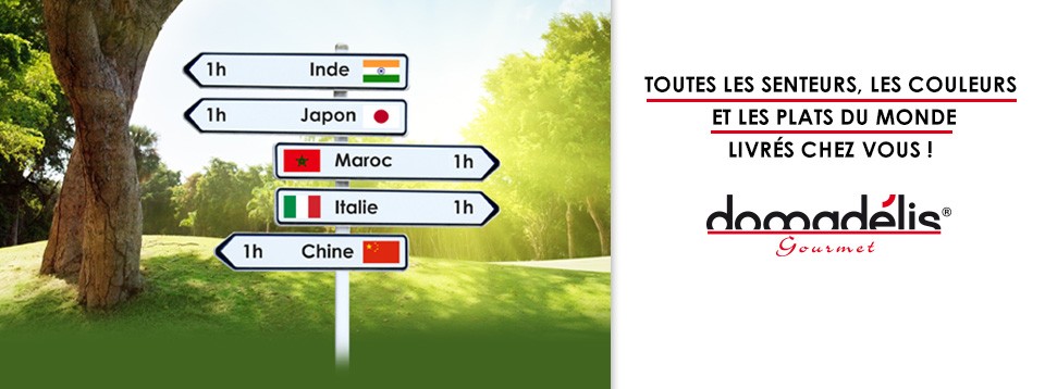 livraison à domicile en moins d'une heure de plats de restaurants chinois, indien, sushis, japonais, italien